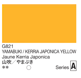 Color swatch of YAMABUKI/KERRIA JAPONICA YELLOW with color code G821