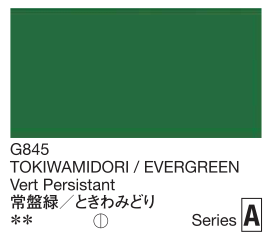 Evergreen color swatch with text and series label