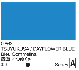 Color swatch of Dayflower Blue with color code G863