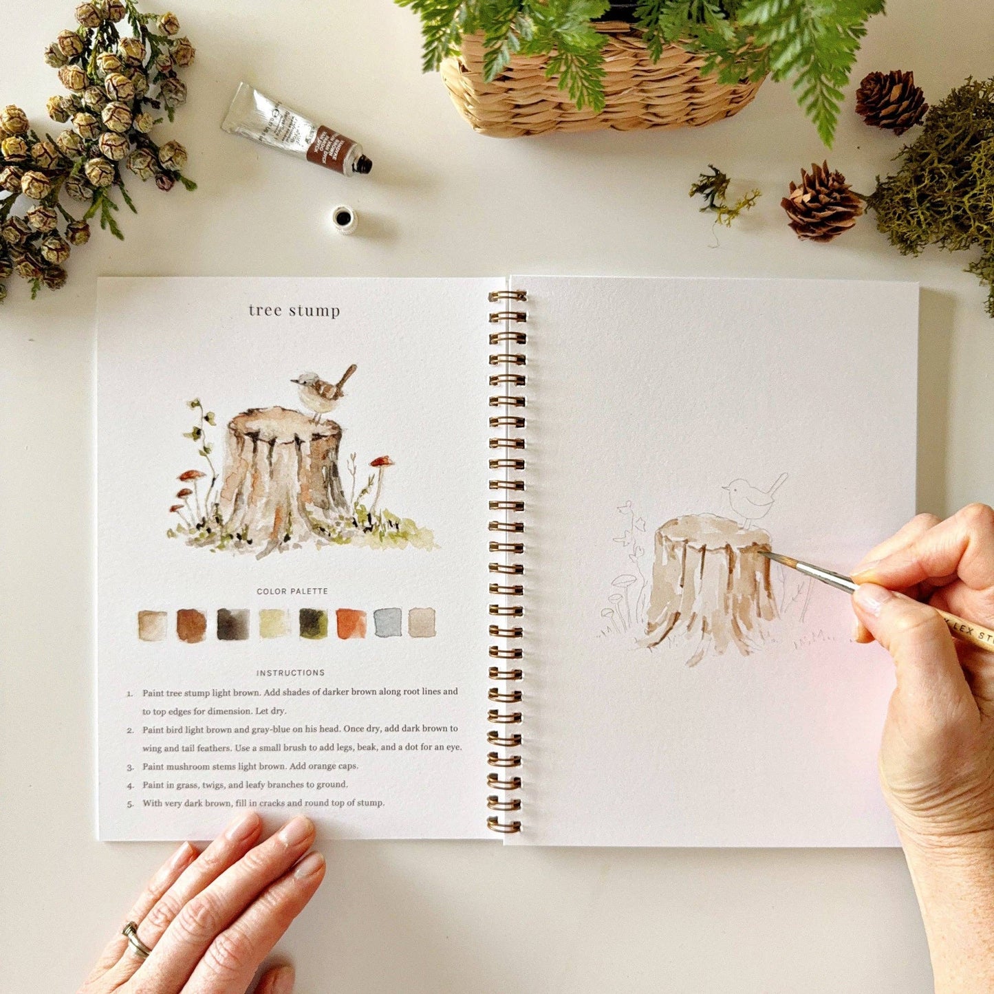 Watercolor Workbooks By Emily Lex Studio  — practice lessons, exercises and study projects