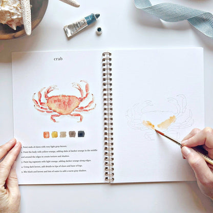 Watercolor Workbooks By Emily Lex Studio  — practice lessons, exercises and study projects