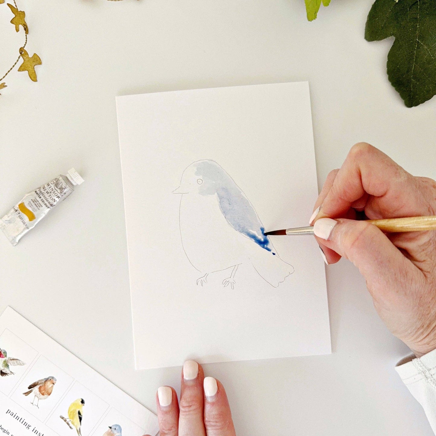 Backyard birds paintable notecards