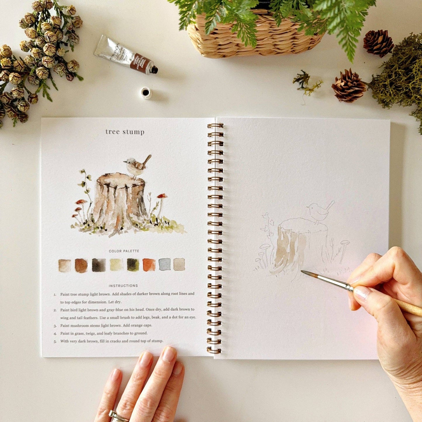 Watercolor Workbooks By Emily Lex Studio  — practice lessons, exercises and study projects