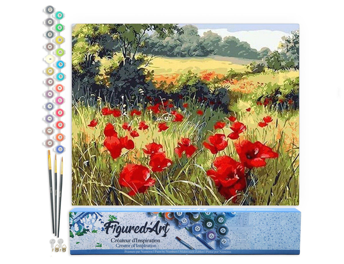 Paint by numbers - Field of Poppies in the countryside