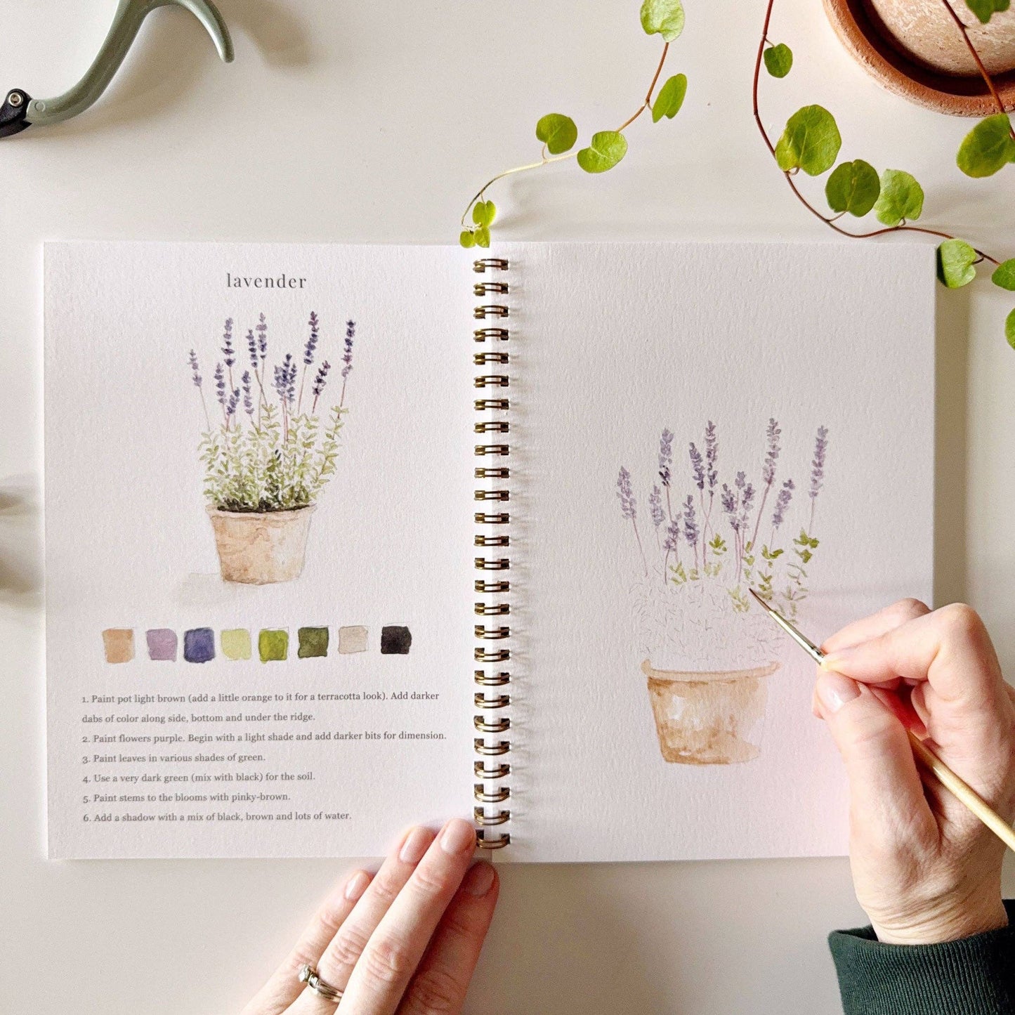 Watercolor Workbooks By Emily Lex Studio  — practice lessons, exercises and study projects
