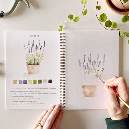 Watercolor Workbooks By Emily Lex Studio  — practice lessons, exercises and study projects